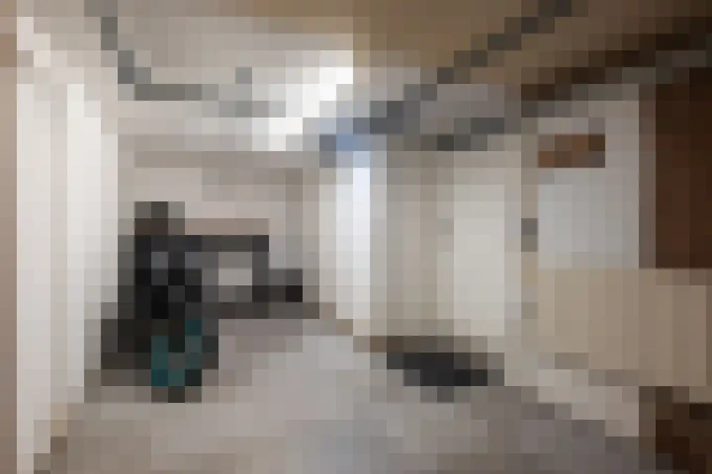 Troelstrastraat 15 Naaldwijk thumbnail 43
