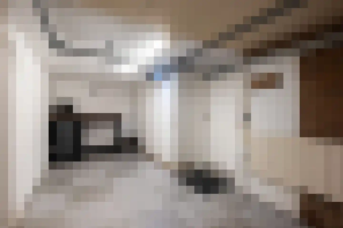 Troelstrastraat 15 Naaldwijk thumbnail 45