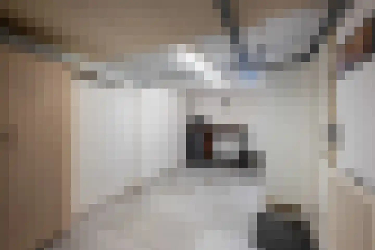 Troelstrastraat 15 Naaldwijk thumbnail 46