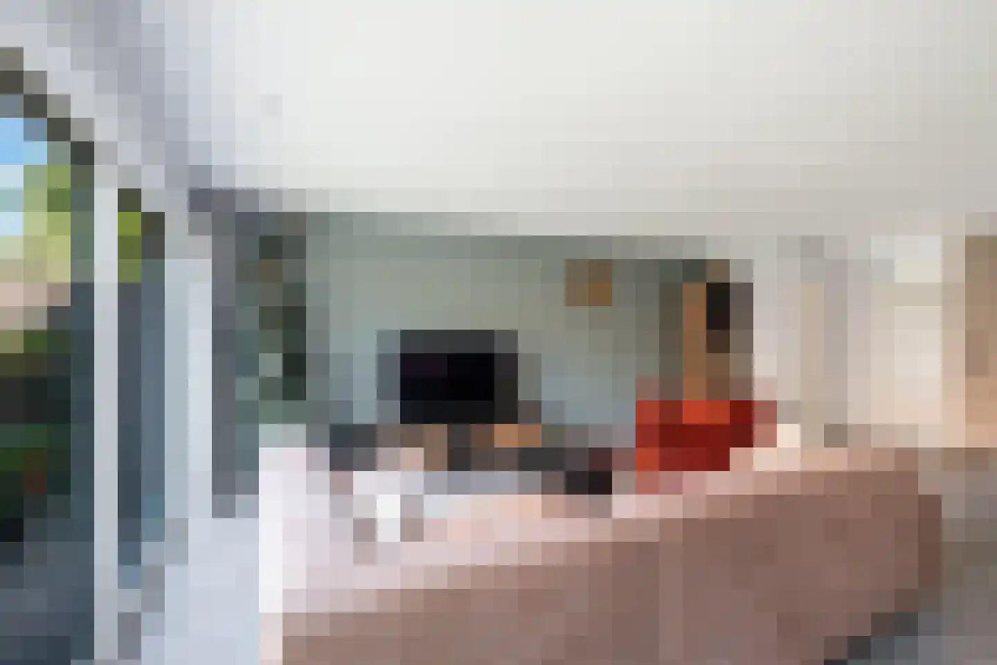 Troelstrastraat 15 Naaldwijk thumbnail 6