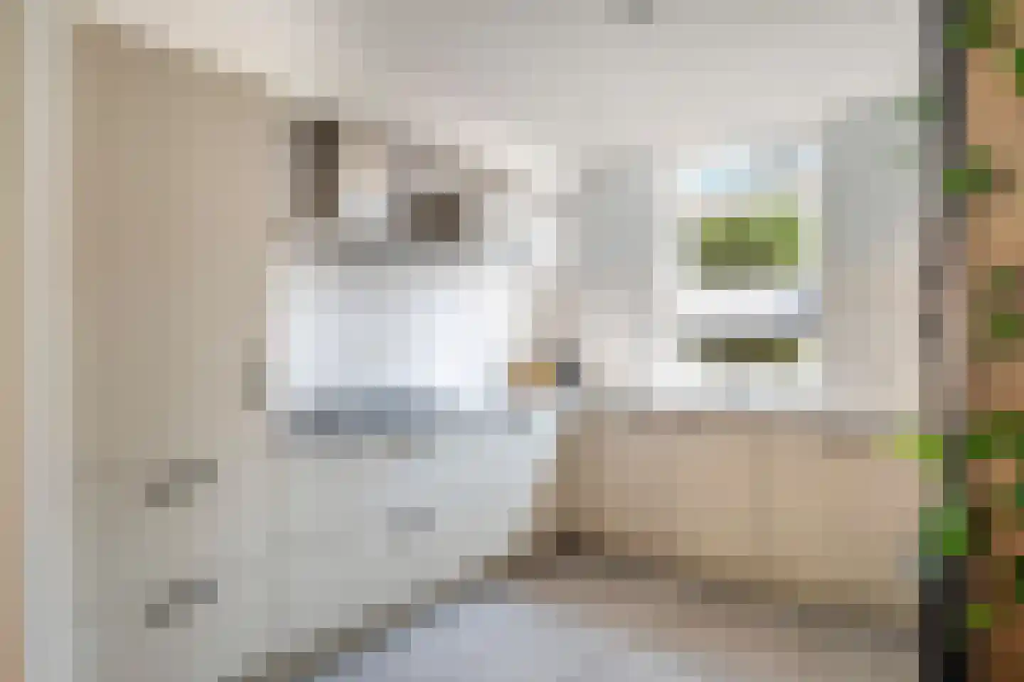 Troelstrastraat 15 Naaldwijk thumbnail 8