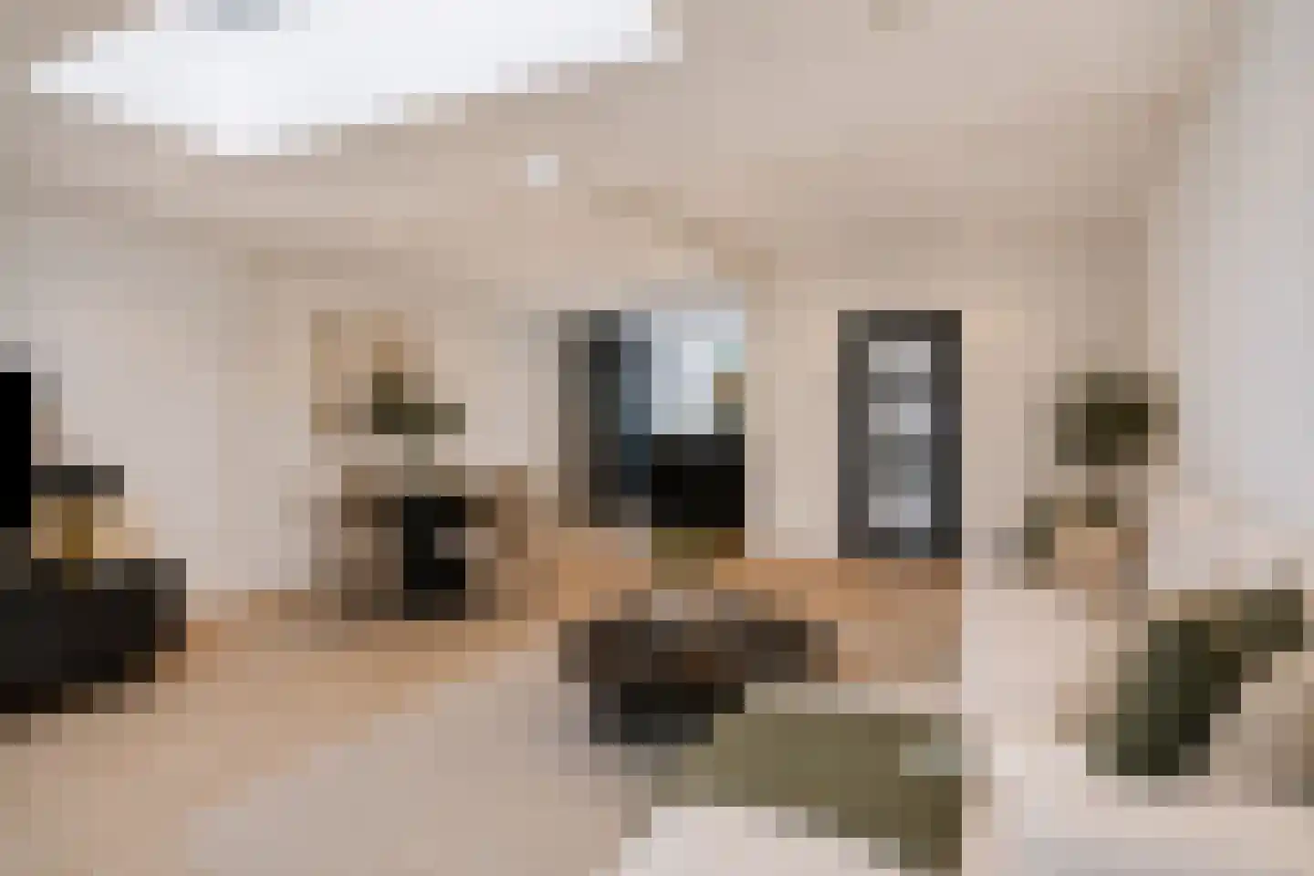 Troelstrastraat 16 Alblasserdam thumbnail 12