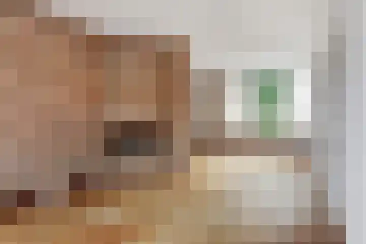 Troelstrastraat 16 Strijen thumbnail 12