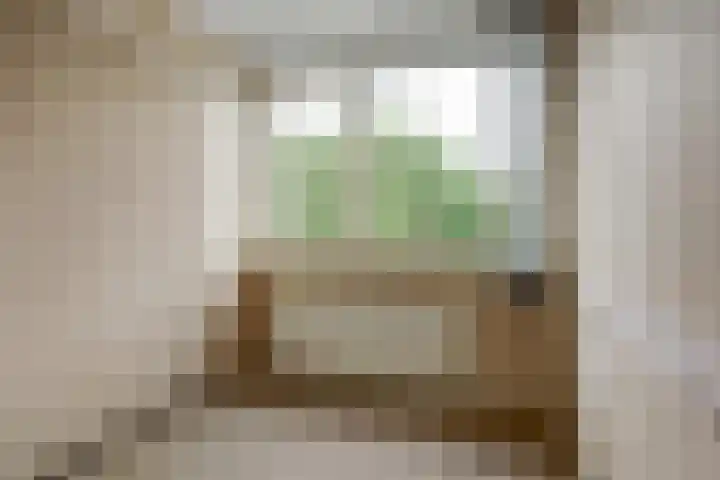Troelstrastraat 16 Strijen thumbnail 18
