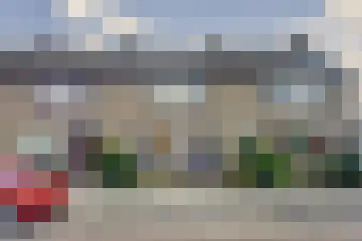 Troelstrastraat 16 Strijen thumbnail 5
