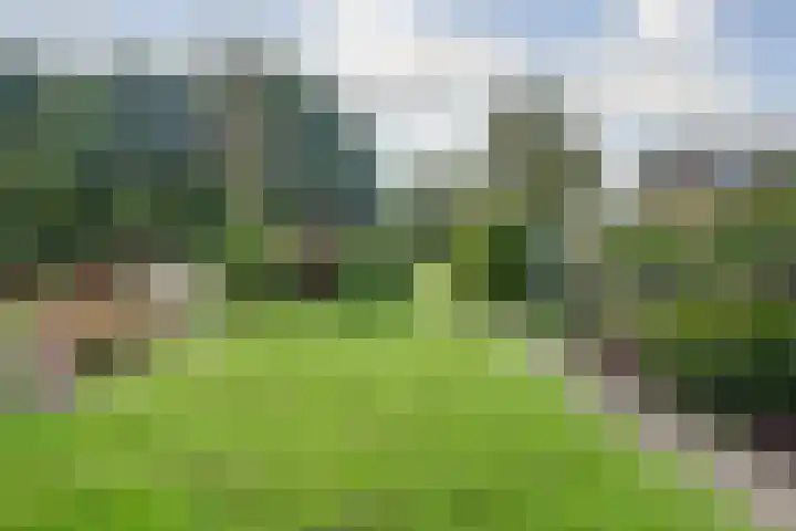 Troelstrastraat 16 Strijen thumbnail 6