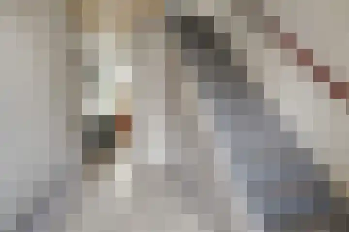 Troelstrastraat 16 Strijen thumbnail 9