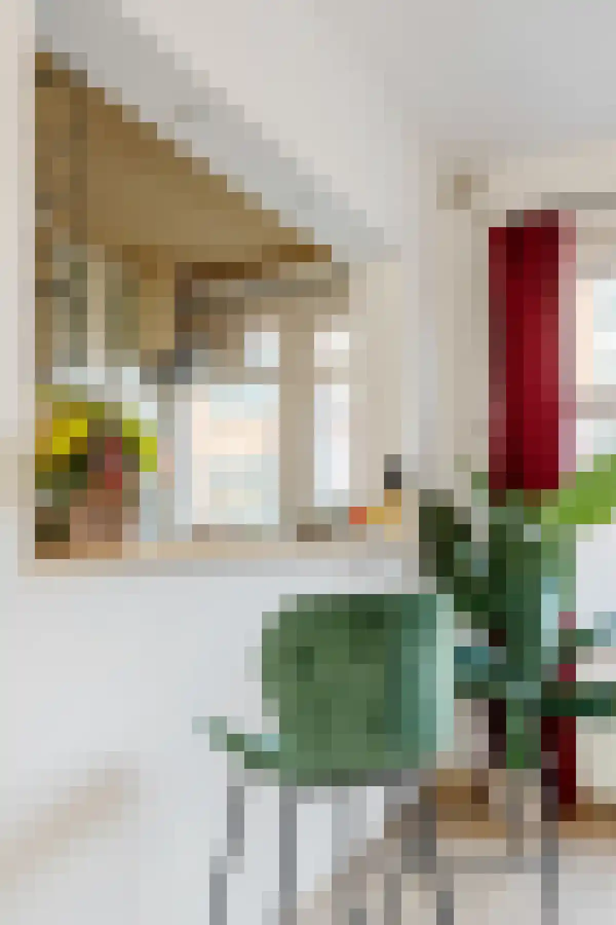 Troelstrastraat 24 A Rotterdam thumbnail 18
