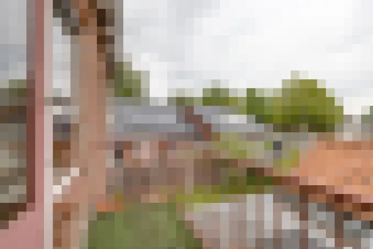 Troelstrastraat 25 Zelhem thumbnail 33
