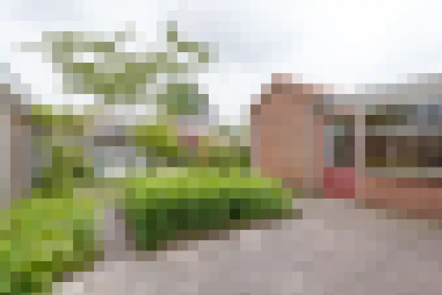 Troelstrastraat 25 Zelhem thumbnail 40