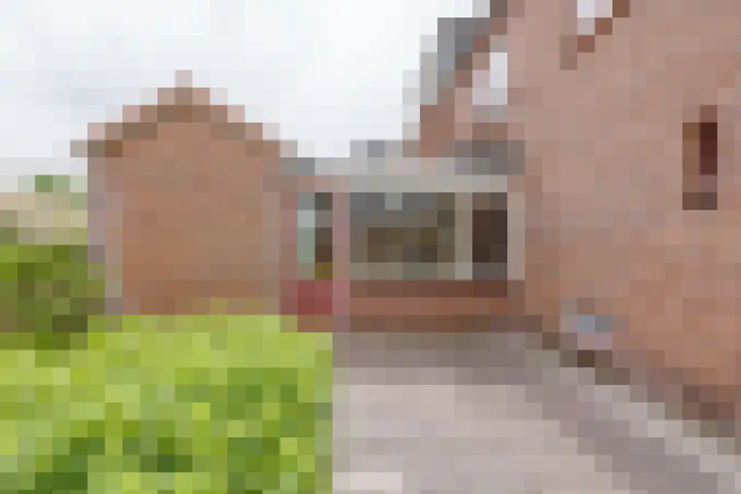 Troelstrastraat 25 Zelhem thumbnail 41