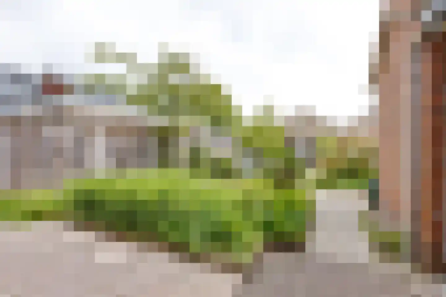 Troelstrastraat 25 Zelhem thumbnail 42