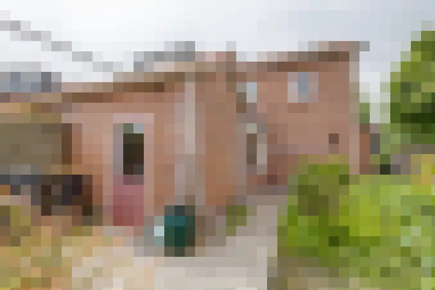 Troelstrastraat 25 Zelhem thumbnail 45