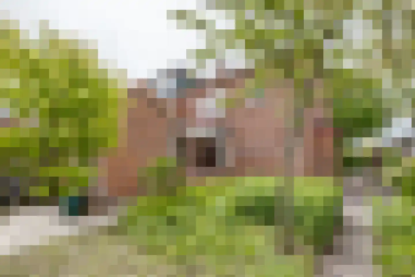 Troelstrastraat 25 Zelhem thumbnail 46