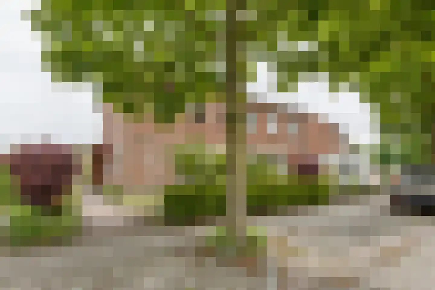 Troelstrastraat 25 Zelhem thumbnail 47
