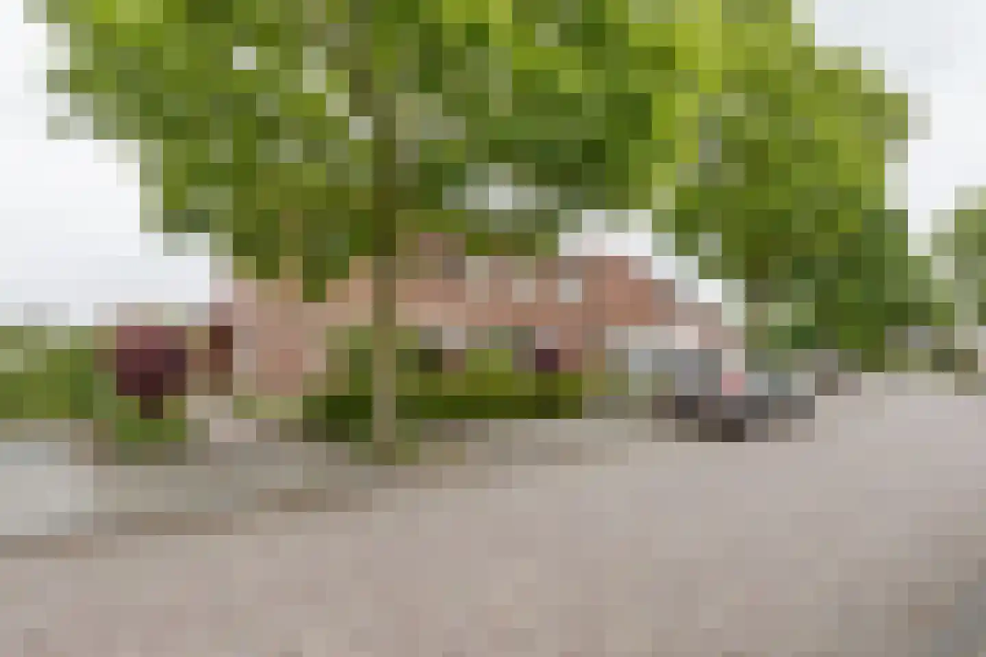 Troelstrastraat 25 Zelhem thumbnail 48