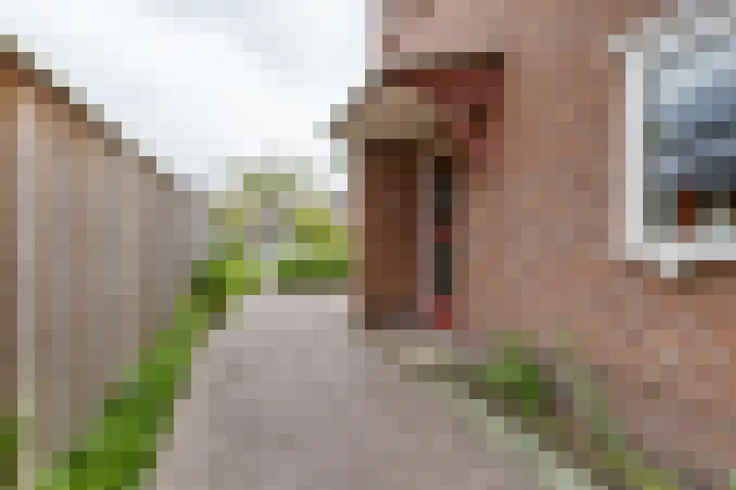 Troelstrastraat 25 Zelhem thumbnail 6