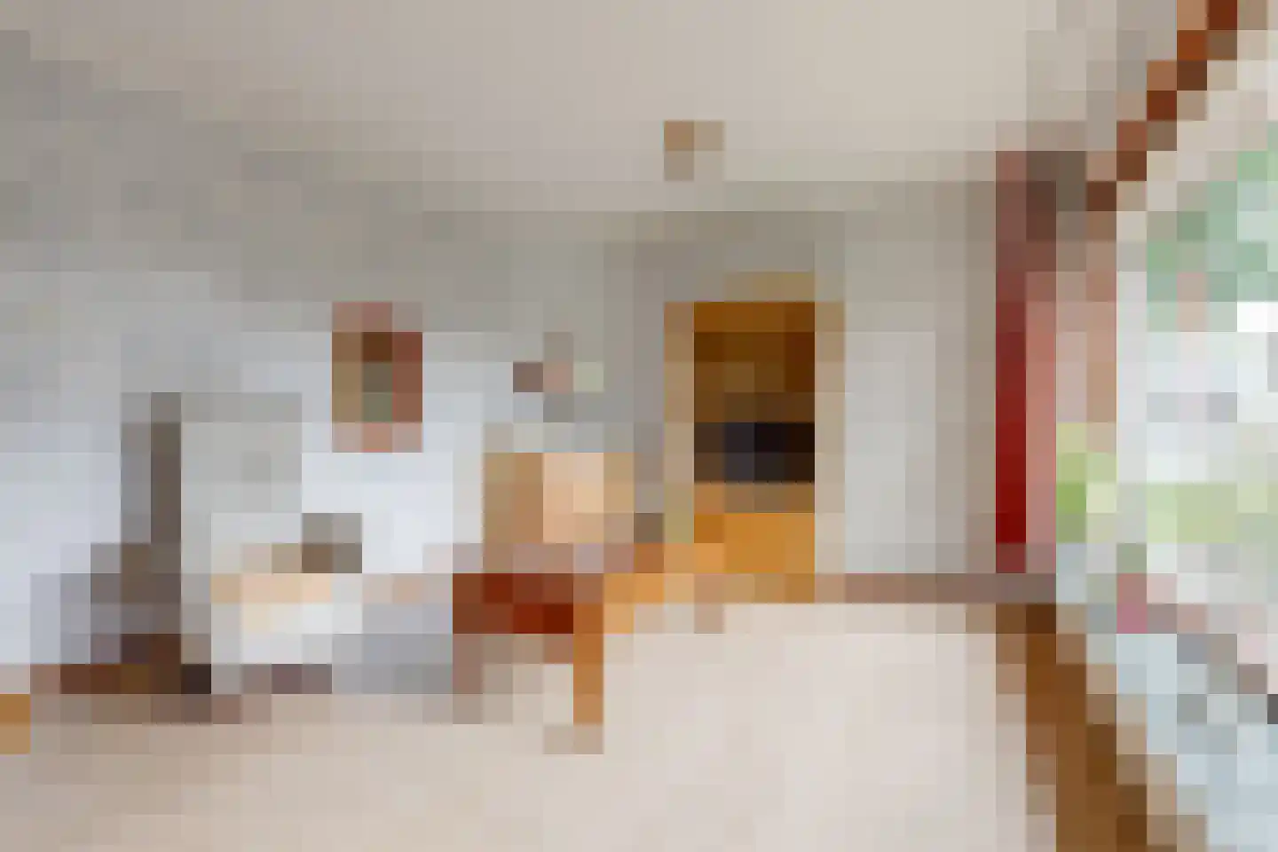 Troelstrastraat 25 Zelhem thumbnail 8