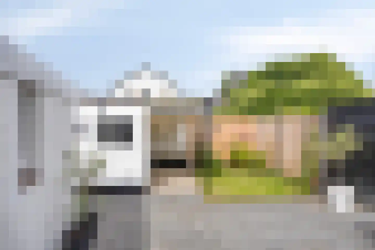 Troelstrastraat 3 Apeldoorn thumbnail 21