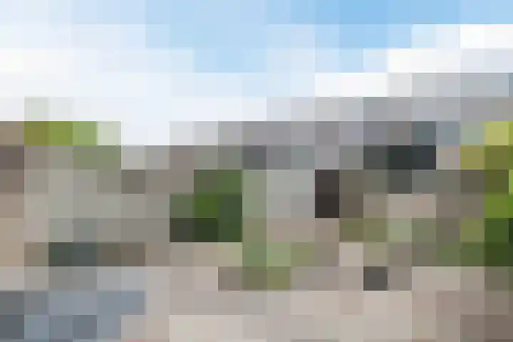 Troelstrastraat 3 Culemborg thumbnail 14