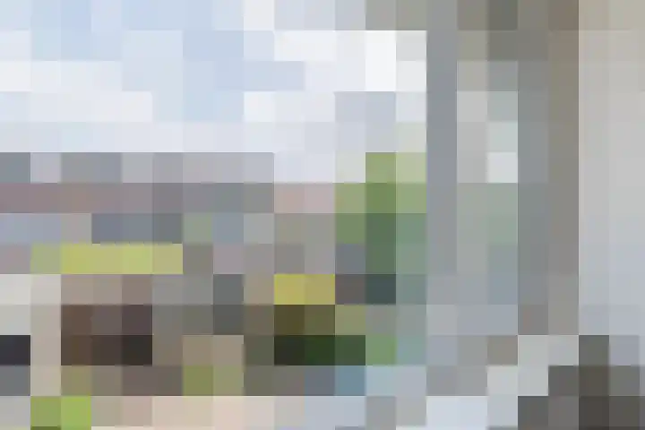 Troelstrastraat 3 Culemborg thumbnail 21