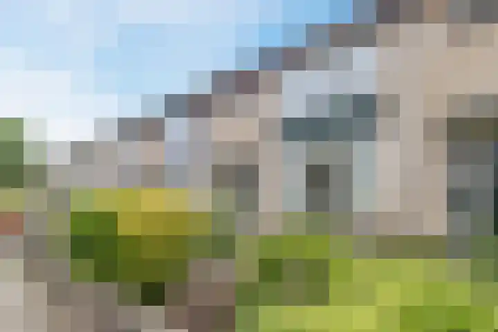 Troelstrastraat 3 Culemborg thumbnail 33