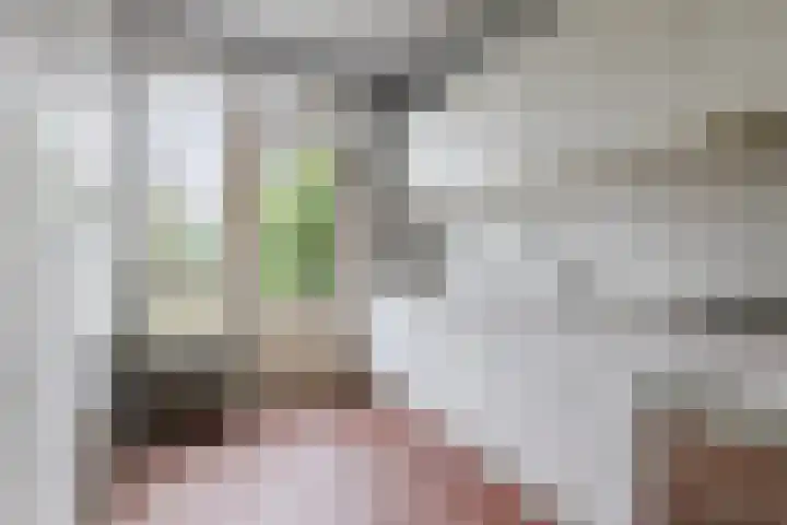 Troelstrastraat 3 Son en Breugel thumbnail 10