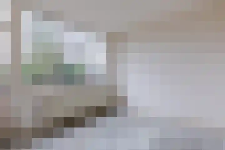 Troelstrastraat 3 Son en Breugel thumbnail 12