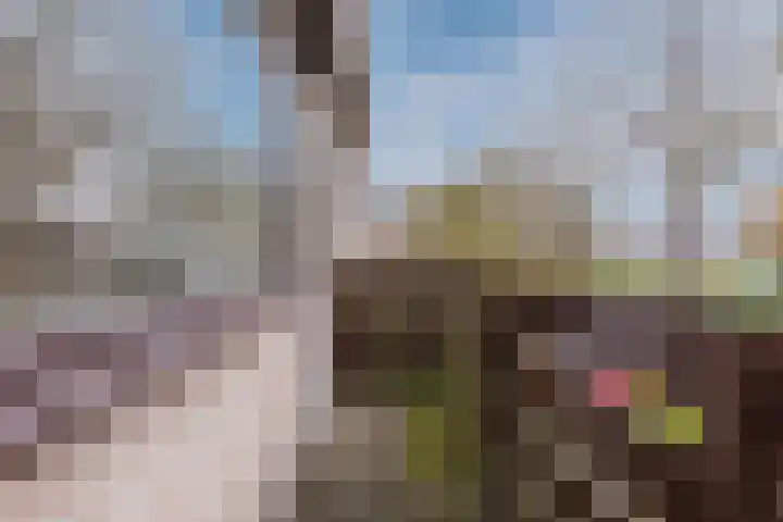 Troelstrastraat 3 Son en Breugel thumbnail 14