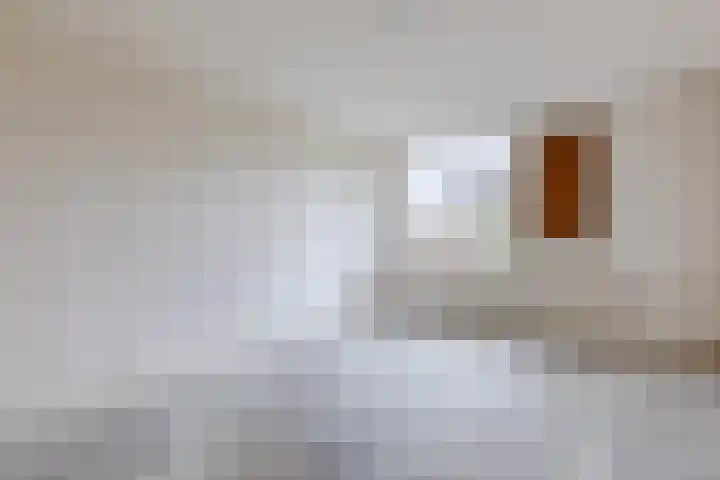 Troelstrastraat 3 Son en Breugel thumbnail 15