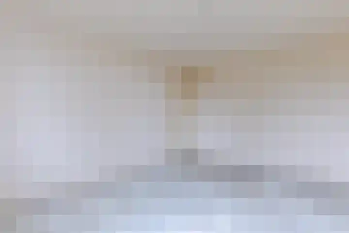 Troelstrastraat 3 Son en Breugel thumbnail 16