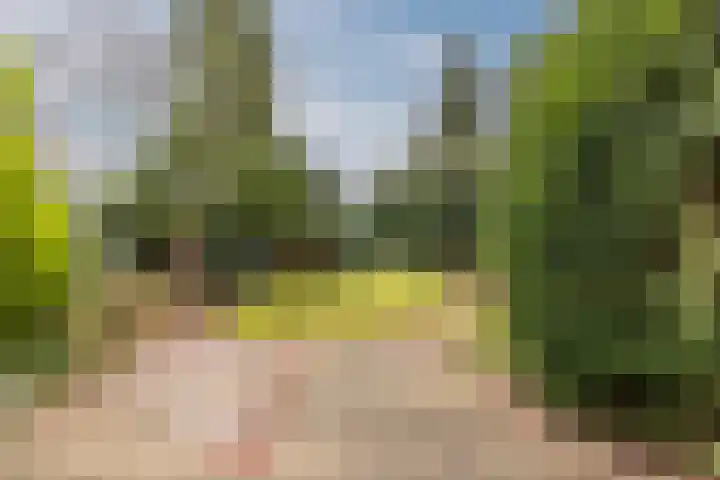 Troelstrastraat 3 Son en Breugel thumbnail 27