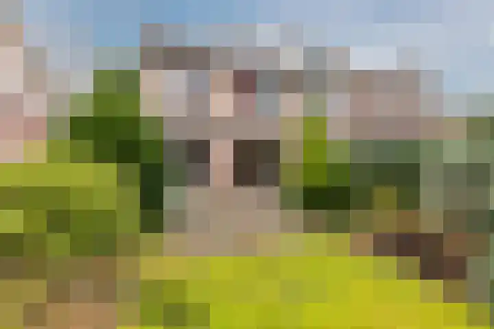 Troelstrastraat 3 Son en Breugel thumbnail 29