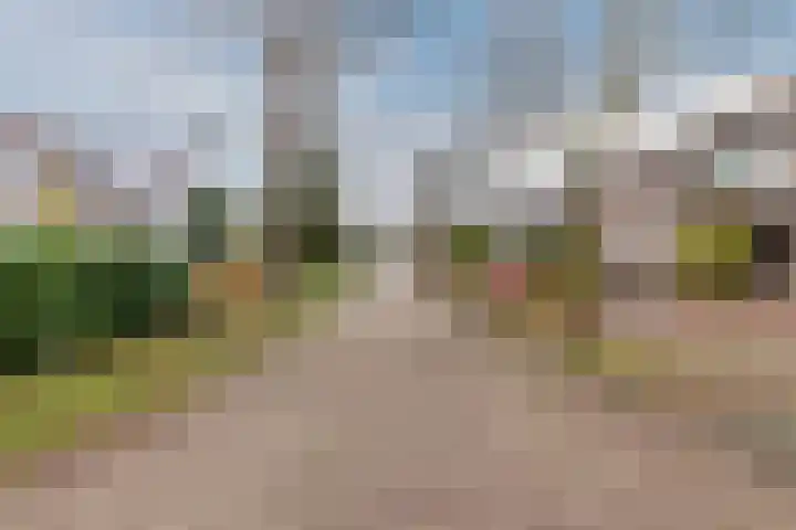 Troelstrastraat 3 Son en Breugel thumbnail 31