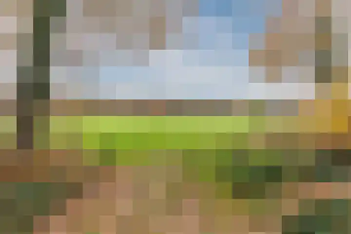 Troelstrastraat 3 Son en Breugel thumbnail 32
