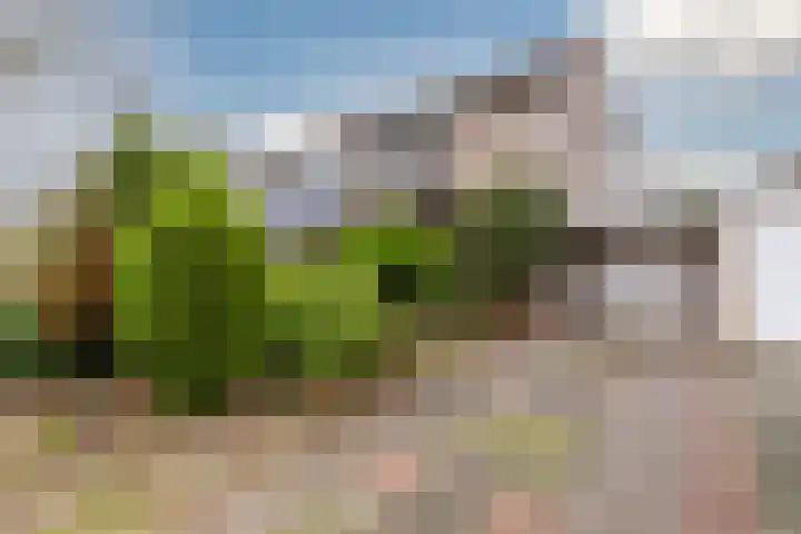 Troelstrastraat 3 Son en Breugel thumbnail 4