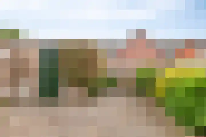 Troelstrastraat 31 Veendam thumbnail 29