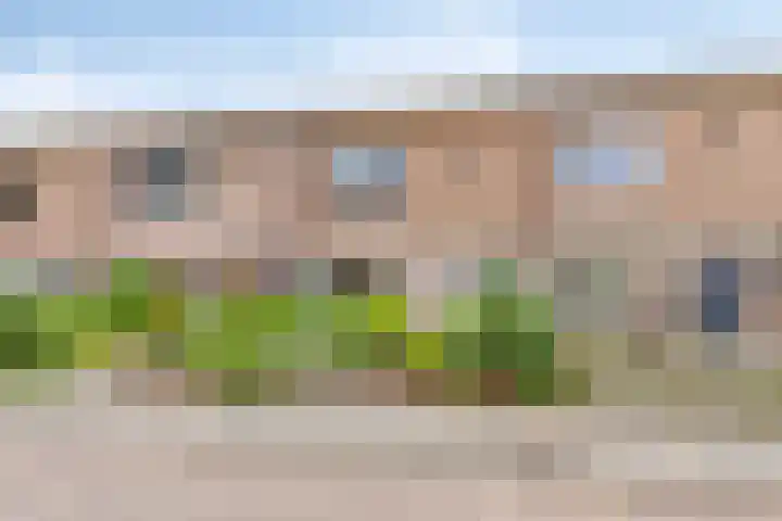 Troelstrastraat 31 Veendam thumbnail 37