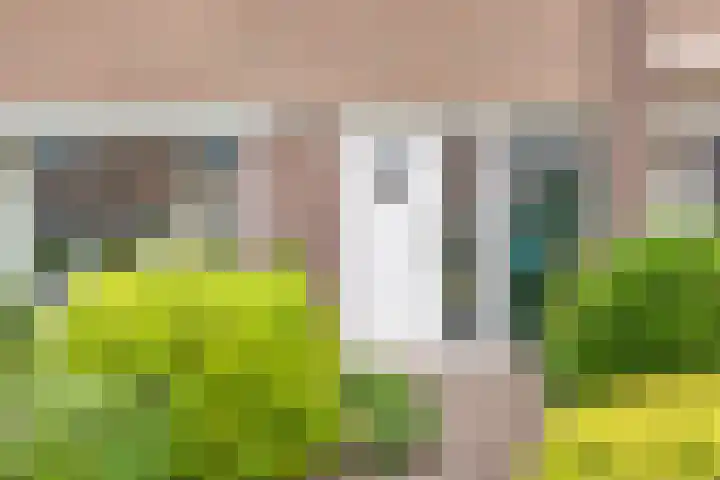 Troelstrastraat 31 Veendam thumbnail 5