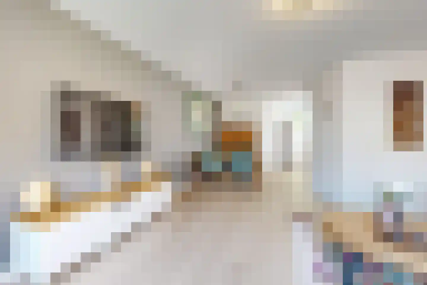 Troelstrastraat 4 Dinteloord thumbnail 13