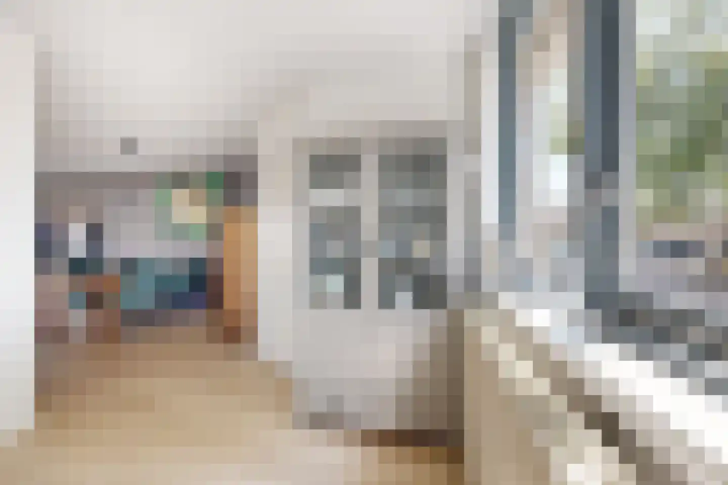 Troelstrastraat 4 Dinteloord thumbnail 18