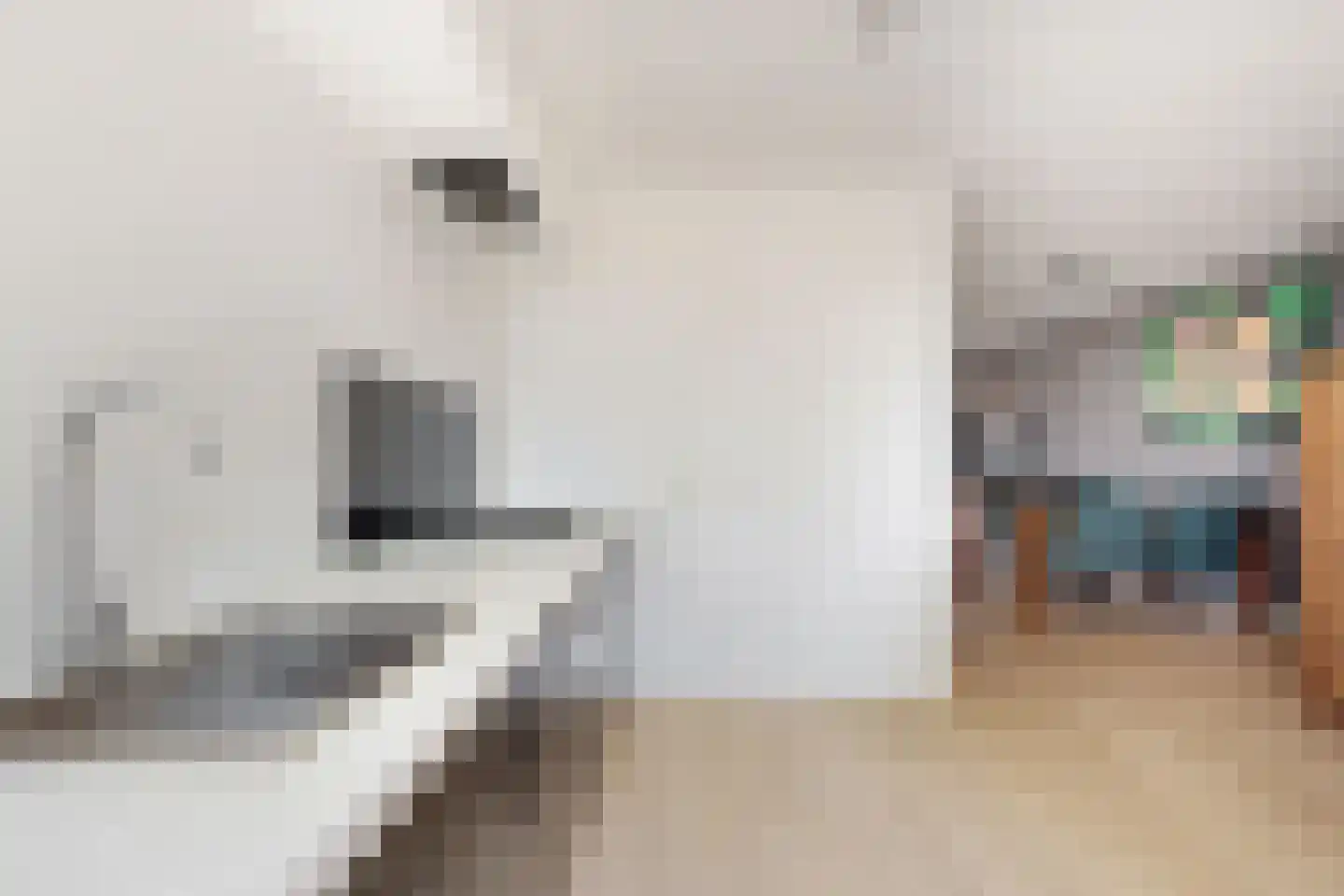 Troelstrastraat 4 Dinteloord thumbnail 19