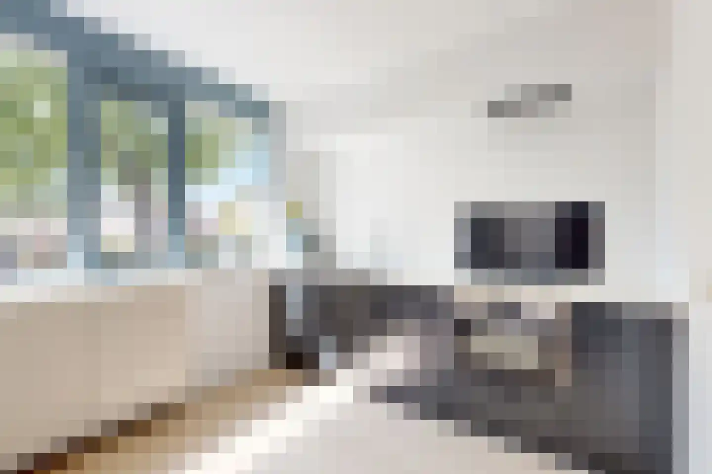 Troelstrastraat 4 Dinteloord thumbnail 23