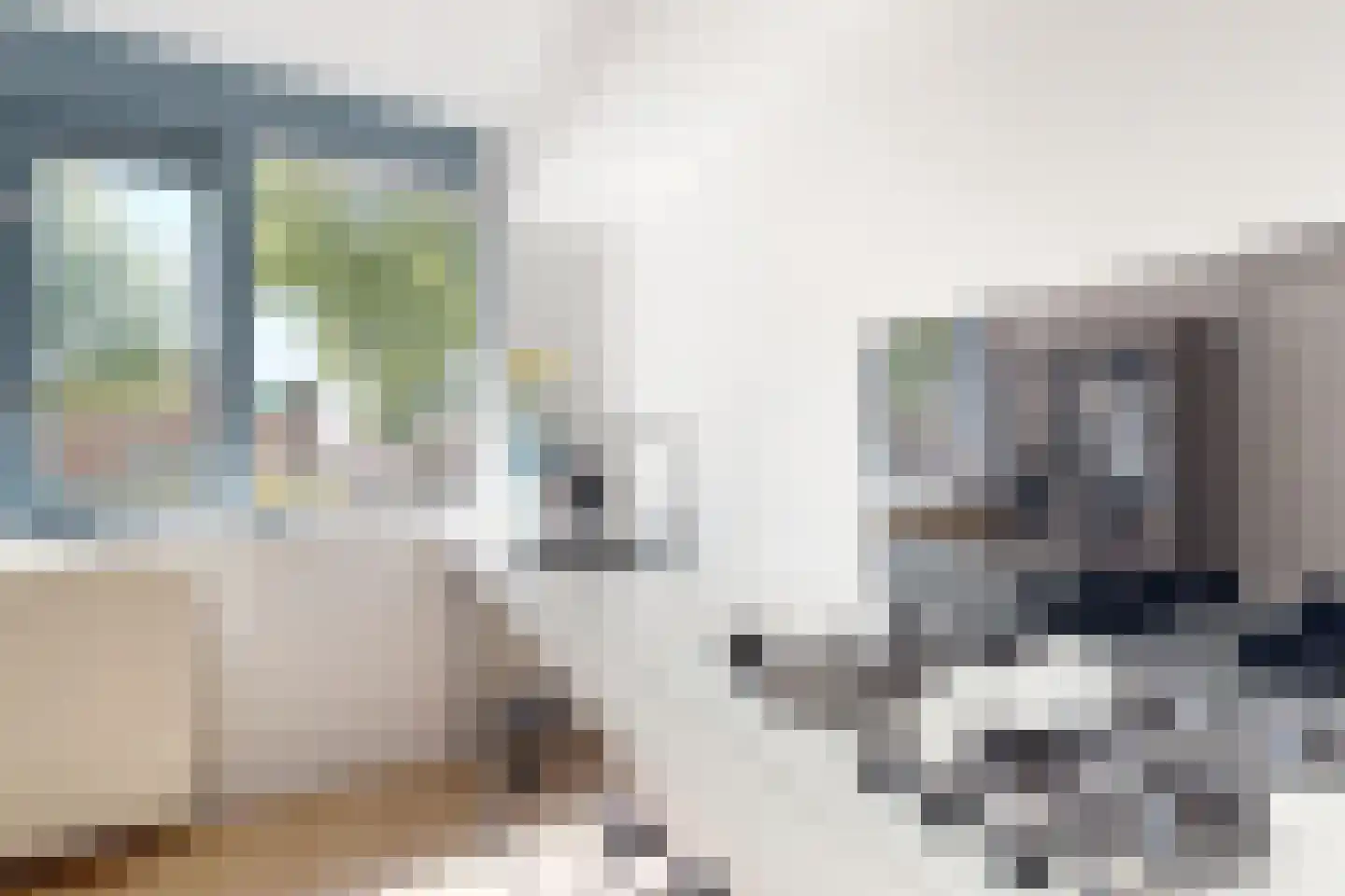 Troelstrastraat 4 Dinteloord thumbnail 25