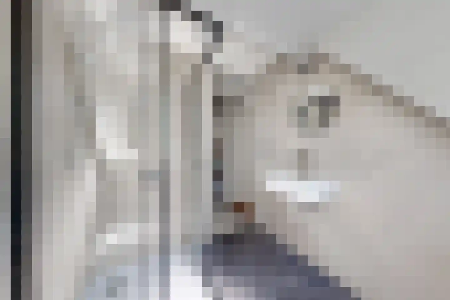Troelstrastraat 4 Dinteloord thumbnail 34