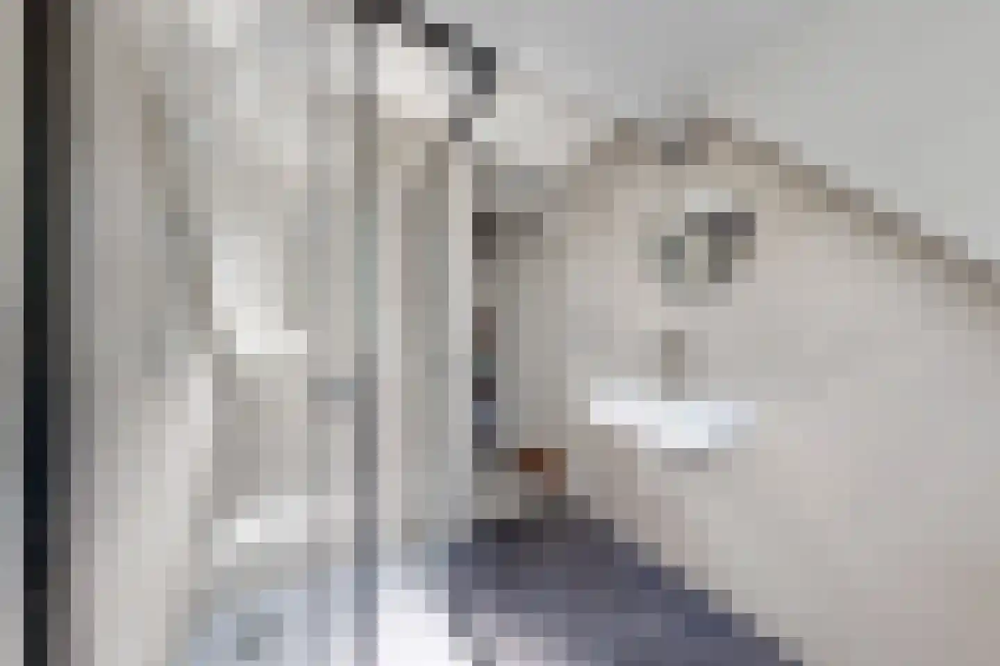 Troelstrastraat 4 Dinteloord thumbnail 35