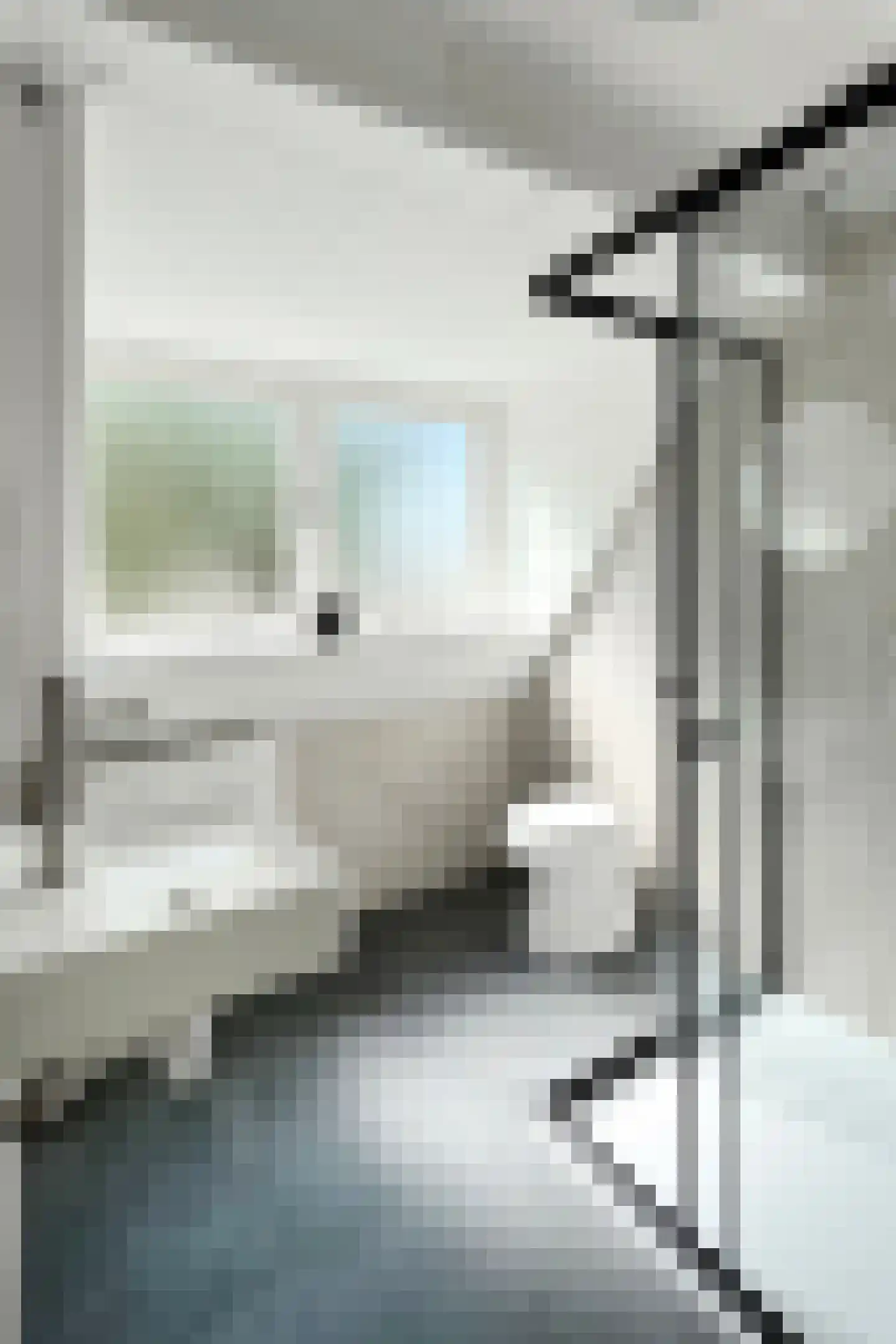 Troelstrastraat 4 Dinteloord thumbnail 36