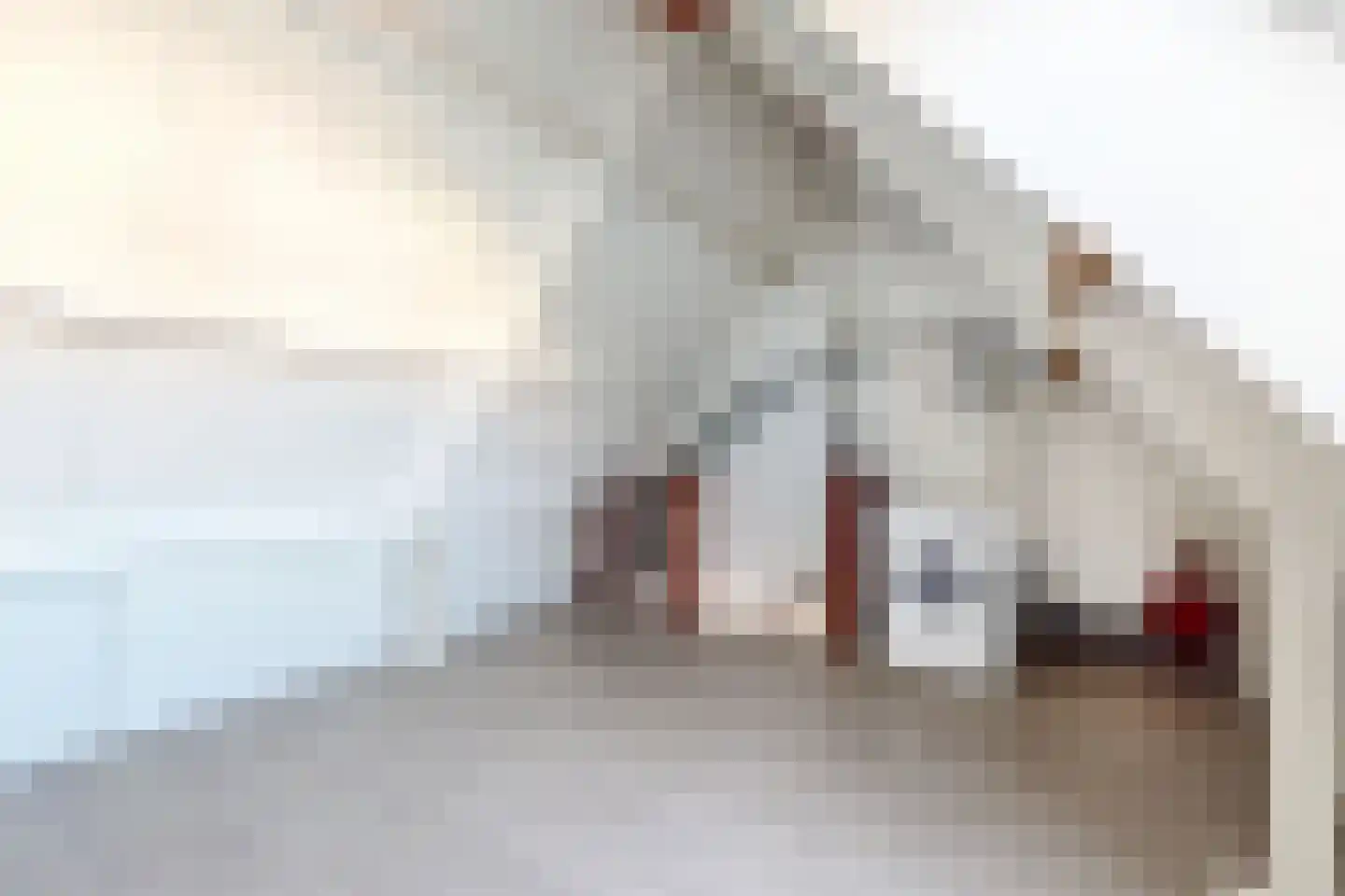 Troelstrastraat 4 Dinteloord thumbnail 39
