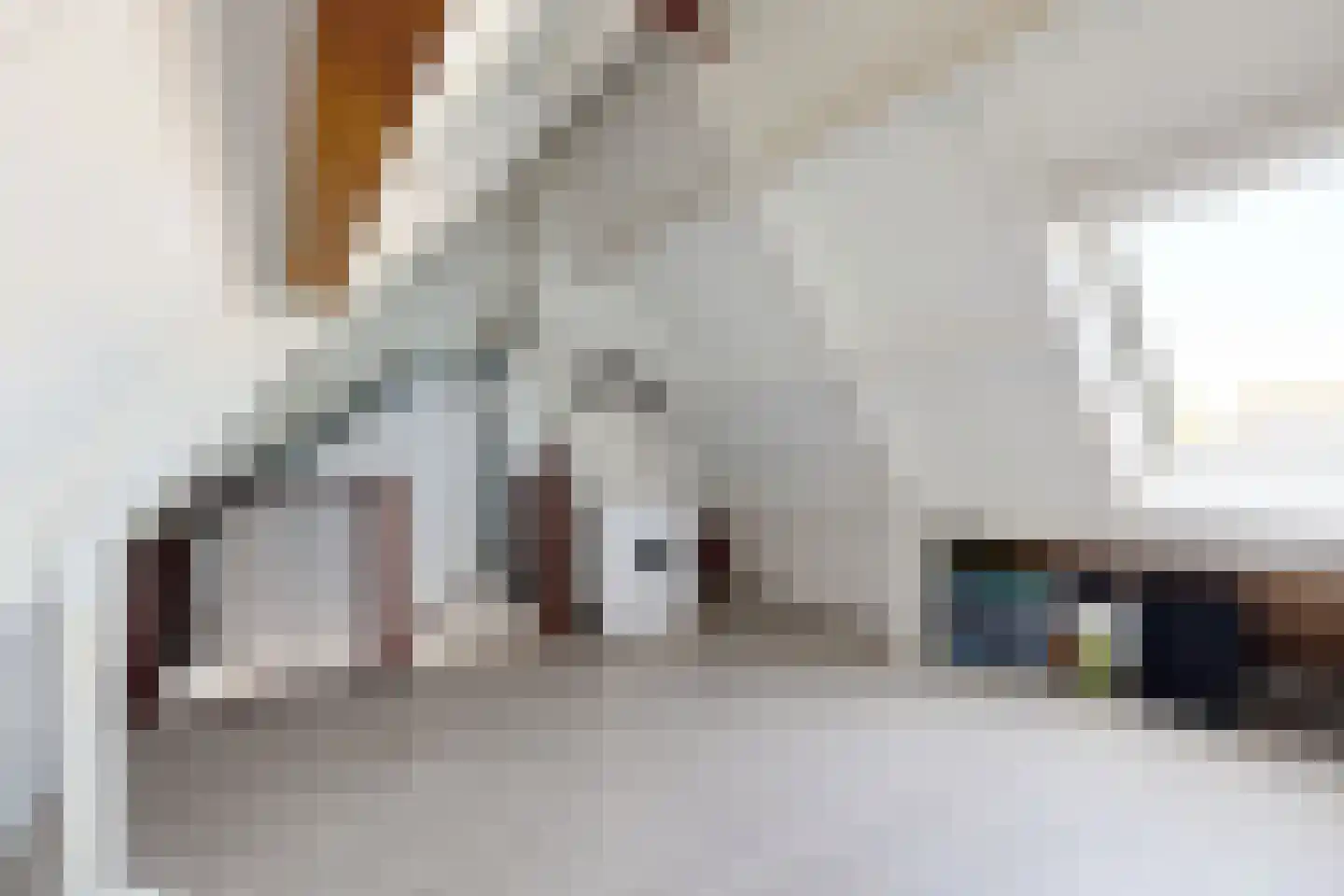 Troelstrastraat 4 Dinteloord thumbnail 40