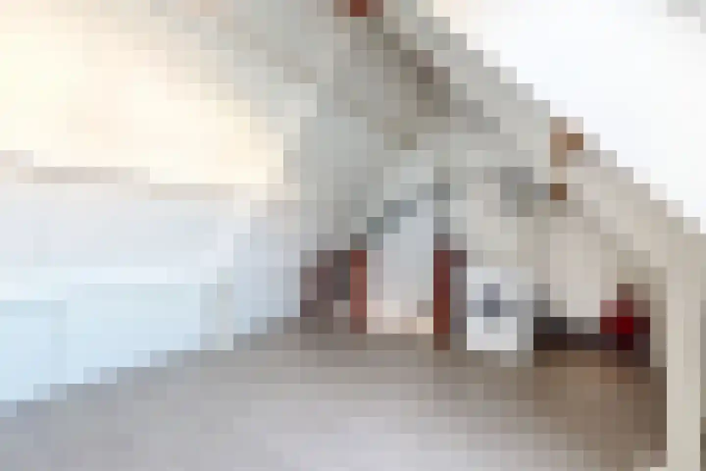 Troelstrastraat 4 Dinteloord thumbnail 40
